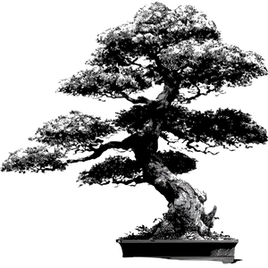 Bonsai Tree Silhouette V2 Vinyl Car Decal Sticker – Waterproof & UV-Resistant 3.4133333333333336"
