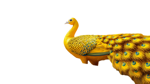 Golden Peacock Display Vinyl Car Decal Sticker – Waterproof & UV-Resistant 5.4