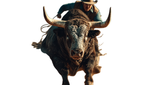 Bull Rider Lassoing Vinyl Car Decal Sticker – Waterproof & UV-Resistant 2.72"
