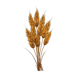 Golden Wheat Bundle V2 Vinyl Car Decal Sticker – Waterproof & UV-Resistant 6.826666666666667" Golden Wheat Bundle V2 Vinyl Car Decal Sticker – Waterproof & UV-Resistant 6.826666666666667"