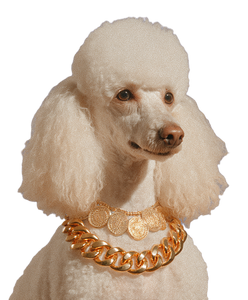 Poodle With Necklace Vinyl Car Decal Sticker – Waterproof & UV-Resistant 8.0"