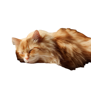 Sleeping Orange Cat V15 Vinyl Car Decal Sticker – Waterproof & UV-Resistant 3.4133333333333336"