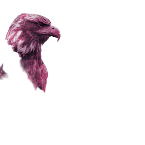 Patriotic Eagle Shadow Vinyl Car Decal Sticker – Waterproof & UV-Resistant 3.4133333333333336"
