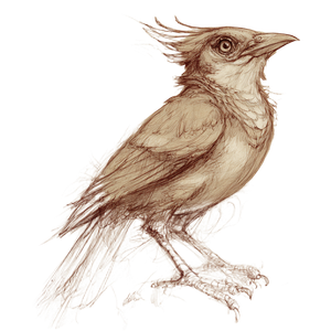 Fantasy Lark Sketch Vinyl Car Decal Sticker – Waterproof & UV-Resistant 3.4133333333333336"