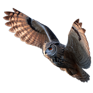 Flying Owl Night Vinyl Car Decal Sticker – Waterproof & UV-Resistant 3.4133333333333336"