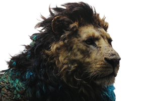 Lion-Peacock Hybrid Vinyl Car Decal Sticker – Waterproof & UV-Resistant 5.97333333333333
