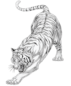 Roaring Tiger Tattoo V11 Vinyl Car Decal Sticker – Waterproof & UV-Resistant 8.0"