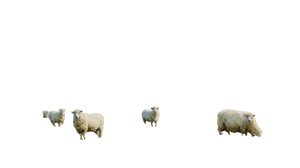 Sheep In Pasture Vinyl Car Decal Sticker – Waterproof & UV-Resistant 2.72"