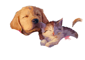 Sleeping Puppy Kitten V2 Vinyl Car Decal Sticker – Waterproof & UV-Resistant 3.0933333333333333"