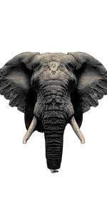 Surreal Sacred Elephant Vinyl Car Decal Sticker – Waterproof & UV-Resistant 10.2