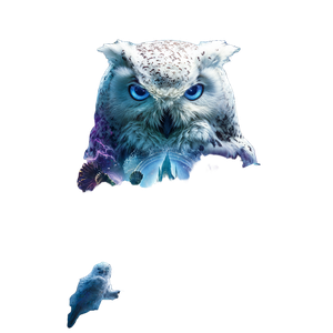 Magical Celestial Owl Vinyl Car Decal Sticker – Waterproof & UV-Resistant 3.4133333333333336"