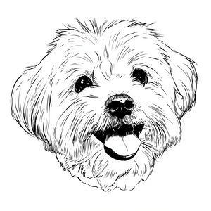 Happy Maltese Dog V2 Vinyl Car Decal Sticker – Waterproof & UV-Resistant 3.4133333333333336"