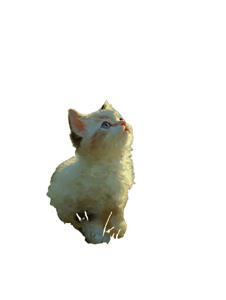 Ragdoll Kitten Skygazing V3 Vinyl Car Decal Sticker – Waterproof & UV-Resistant 8.213333333333333"