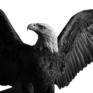 Majestic Bald Eagle V38 Vinyl Car Decal Sticker – Waterproof & UV-Resistant 3.4133333333333336"