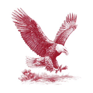 Eagle Landing Illustration Vinyl Car Decal Sticker – Waterproof & UV-Resistant 3.4133333333333336"