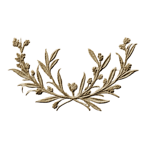 Olive Branch Invitation Vinyl Car Decal Sticker – Waterproof & UV-Resistant 3.4133333333333336"