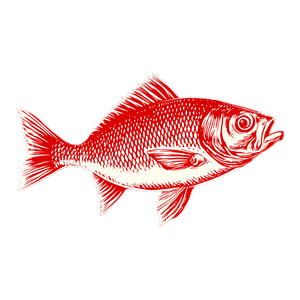 Roach Fish Icon Vinyl Car Decal Sticker – Waterproof & UV-Resistant 3.4133333333333336"