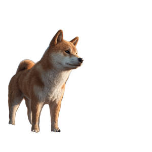 Shiba Inu Dog V2 Vinyl Car Decal Sticker – Waterproof & UV-Resistant 3.4133333333333336"