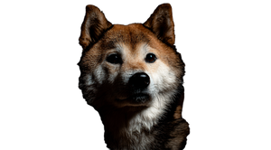 Shiba Inu Portrait V7 Vinyl Car Decal Sticker – Waterproof & UV-Resistant 2.72"