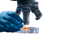 Scientist Examining Sample Vinyl Car Decal Sticker – Waterproof & UV-Resistant 5.4
