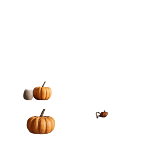 Wooden Frames Pumpkin V2 Vinyl Car Decal Sticker – Waterproof & UV-Resistant 3.4133333333333336"