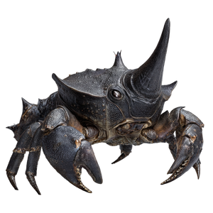 Xenomorph Crab Hybrid Vinyl Car Decal Sticker – Waterproof & UV-Resistant 3.4133333333333336"