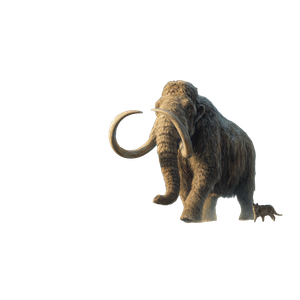 Giant Mammoth Migration Vinyl Car Decal Sticker – Waterproof & UV-Resistant 3.4133333333333336"