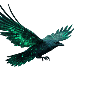 Magical Green Raven Vinyl Car Decal Sticker – Waterproof & UV-Resistant 3.4133333333333336"