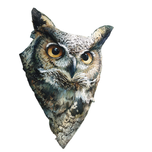 Old Owl Closeup Vinyl Car Decal Sticker – Waterproof & UV-Resistant 3.4133333333333336"