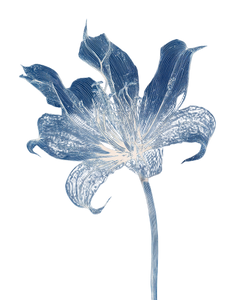 Ethereal Flower Blueprint Vinyl Car Decal Sticker – Waterproof & UV-Resistant 4.0"