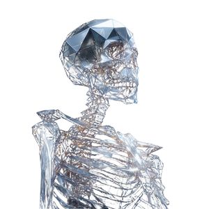 Diamond Skeleton X-Ray Vinyl Car Decal Sticker – Waterproof & UV-Resistant 6.826666666666667"