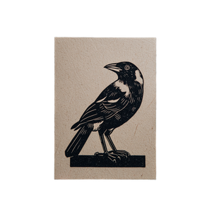 Australian Magpie Art Vinyl Car Decal Sticker – Waterproof & UV-Resistant 3.4133333333333336"