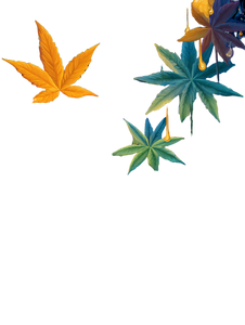 Magical Cannabis Plants Vinyl Car Decal Sticker – Waterproof & UV-Resistant 8.213333333333333"
