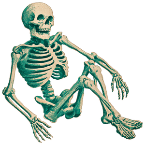 Spooky Cartoon Skeleton Vinyl Car Decal Sticker – Waterproof & UV-Resistant 3.4133333333333336"