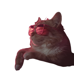 Cat In Sunglasses V4 Vinyl Car Decal Sticker – Waterproof & UV-Resistant 6.826666666666667"