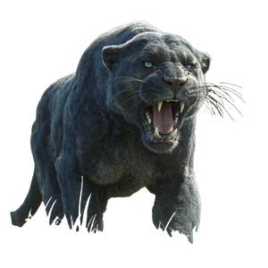 Roaring Grey Panther Vinyl Car Decal Sticker – Waterproof & UV-Resistant 3.4133333333333336" Roaring Grey Panther Vinyl Car Decal Sticker – Waterproof & UV-Resistant 3.4133333333333336"