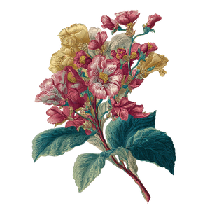 Vintage Floral Illustration V3 Vinyl Car Decal Sticker – Waterproof & UV-Resistant 6.826666666666667"