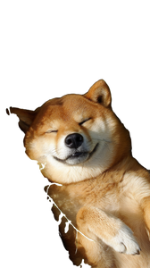 Sleeping Akita Inu Vinyl Car Decal Sticker – Waterproof & UV-Resistant 9.706666666666667"