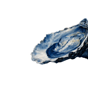 Vintage Blue Oysters Vinyl Car Decal Sticker – Waterproof & UV-Resistant 3.4133333333333336" Vintage Blue Oysters Vinyl Car Decal Sticker – Waterproof & UV-Resistant 3.4133333333333336"
