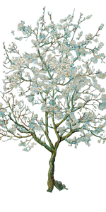 White Plum Blossoms V3 Vinyl Car Decal Sticker – Waterproof & UV-Resistant 10.2