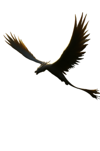 Dragon-Headed Bird Vinyl Car Decal Sticker – Waterproof & UV-Resistant 8.96"