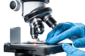 Scientist'S Gloved Hands Vinyl Car Decal Sticker – Waterproof & UV-Resistant 2.933333333333333"