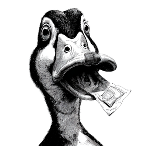 Goofy Duck Illustration Vinyl Car Decal Sticker – Waterproof & UV-Resistant 6.826666666666667"