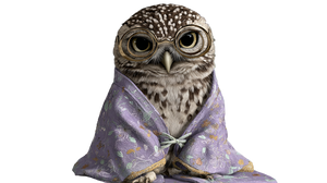 Magical Owl Librarian Vinyl Car Decal Sticker – Waterproof & UV-Resistant 2.72"