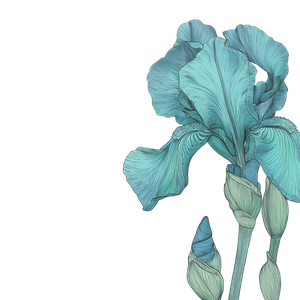 Cartoony Iris Graphic Vinyl Car Decal Sticker – Waterproof & UV-Resistant 6.826666666666667"