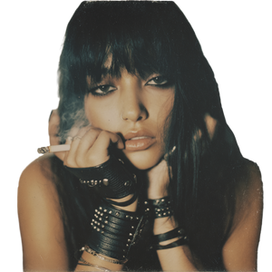 Moody Punk Portrait Vinyl Car Decal Sticker – Waterproof & UV-Resistant 6.826666666666667"