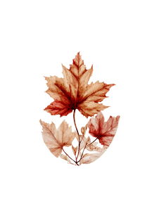Maple Leaf Design Vinyl Car Decal Sticker – Waterproof & UV-Resistant 4.1066666666666665"