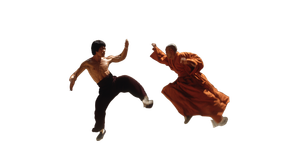 Bruce Lee Duel Vinyl Car Decal Sticker – Waterproof & UV-Resistant 5.4