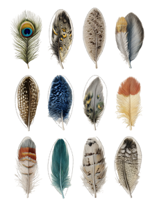 Feather Sticker Sheet Vinyl Car Decal Sticker – Waterproof & UV-Resistant 8.213333333333333" Feather Sticker Sheet Vinyl Car Decal Sticker – Waterproof & UV-Resistant 8.213333333333333"