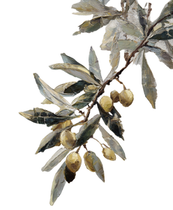 Olive Tree Branch V3 Vinyl Car Decal Sticker – Waterproof & UV-Resistant 8.0"